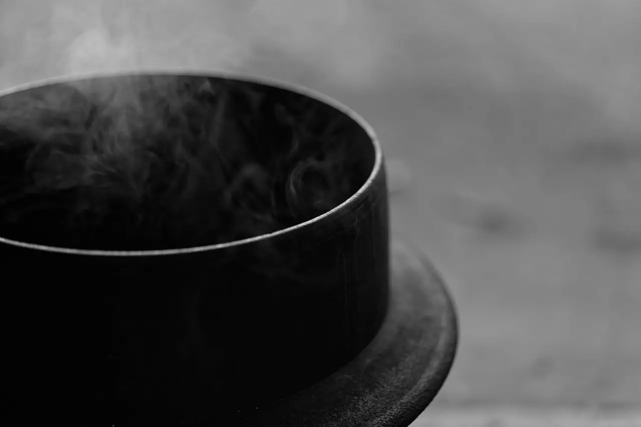 Hvilke fordele er der ved at bruge en damprenser i forhold til traditionelle rengøringsmetoder?